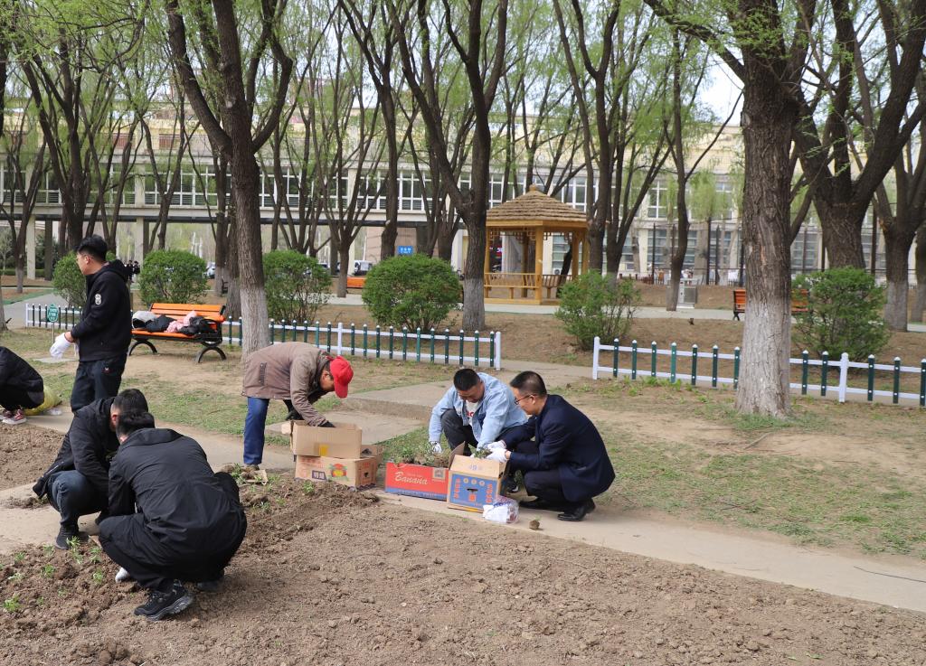 德信体育官方网站