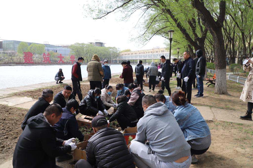 德信体育官方网站