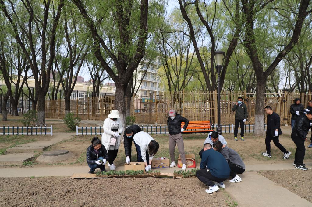 德信体育官方网站