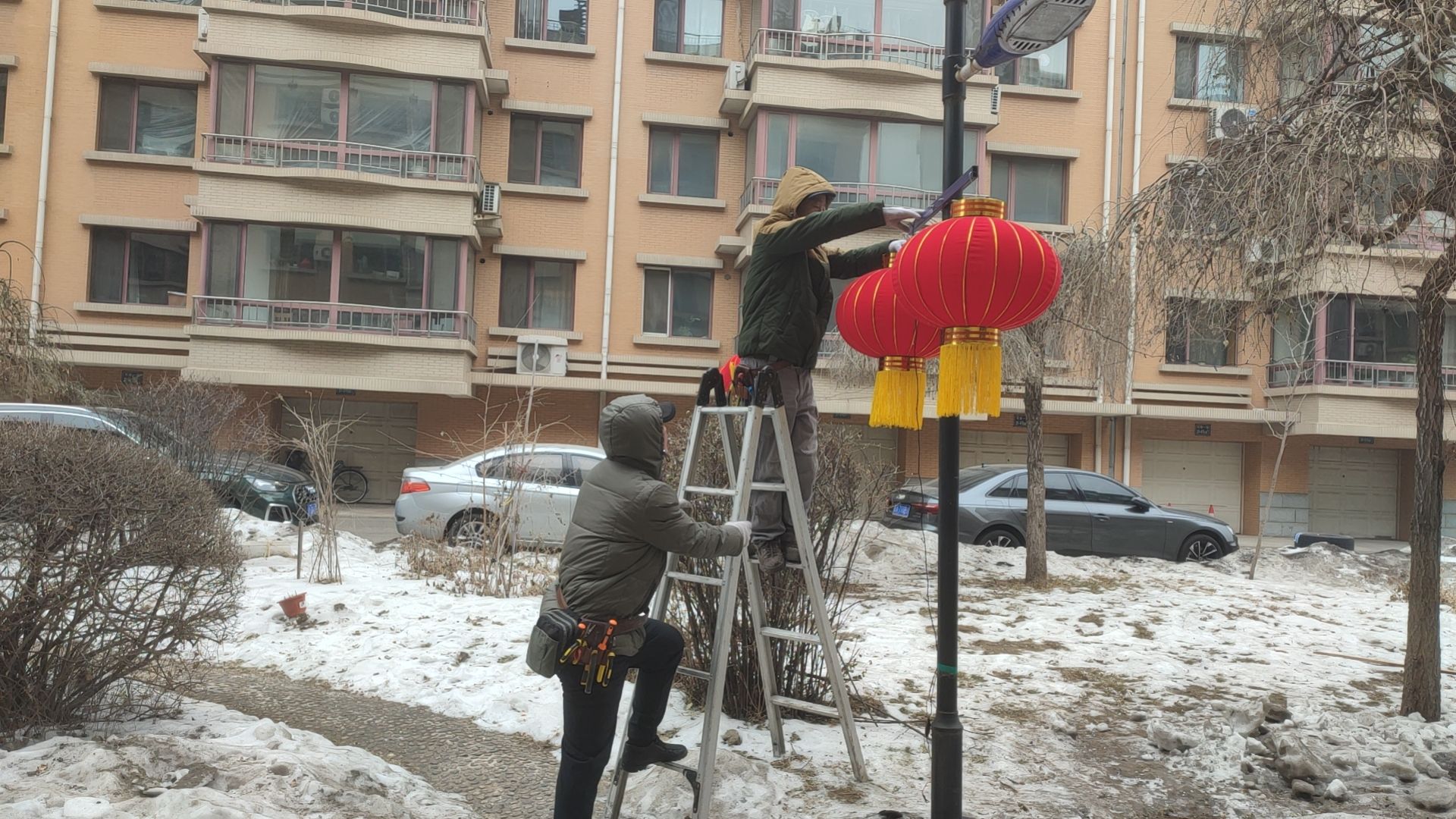 德信体育官方网站